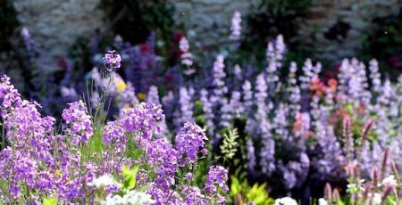 Le printemps au jardin