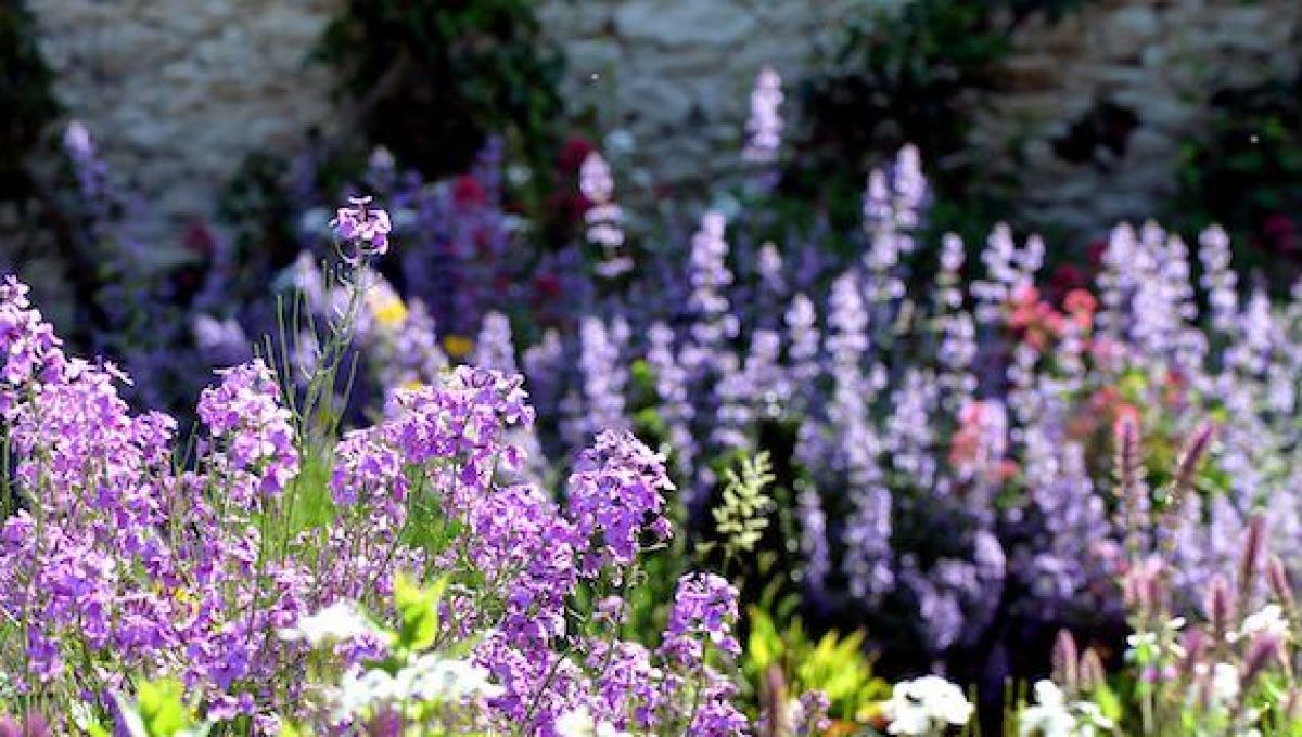 Le printemps au jardin