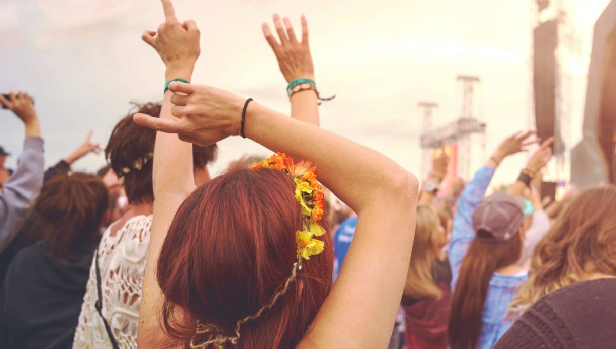 Outdoor music festival crowd