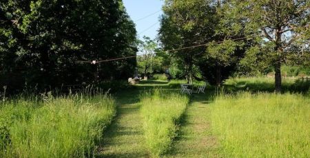 Yoann Molard-Auclair, architecte-paysagiste « sauvé » par les plantes