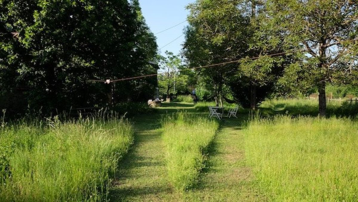 Yoann Molard-Auclair, architecte-paysagiste « sauvé » par les plantes