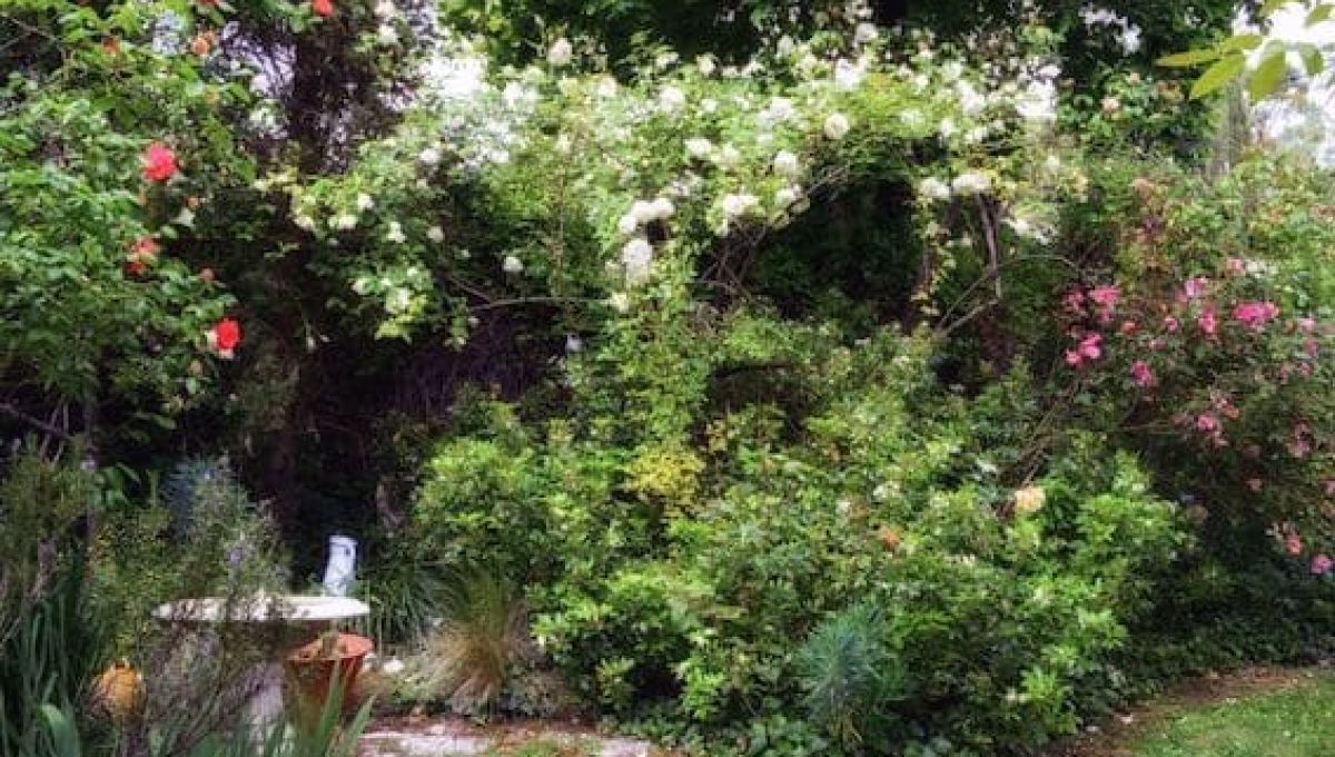 jardin de Boissonna