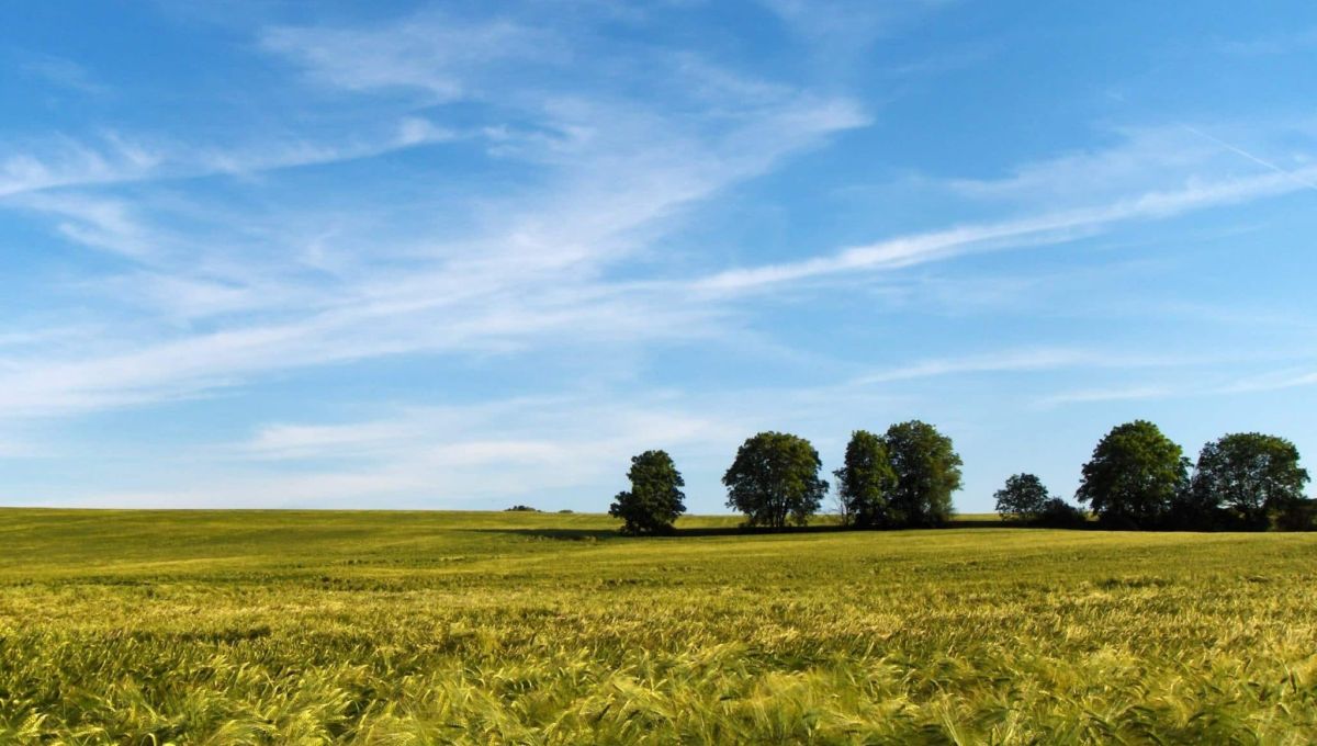 Paysage Vexin 02