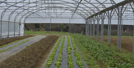 ferme des petites bottes