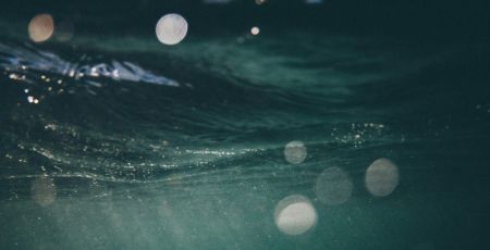Livre : « Fascinantes créatures », une immersion dans les abysses