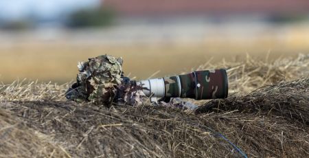 photo_photographe_nature.jpeg