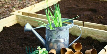 Ciel mon radis ! recrée du lien social en entreprise grâce aux potagers collaboratifs