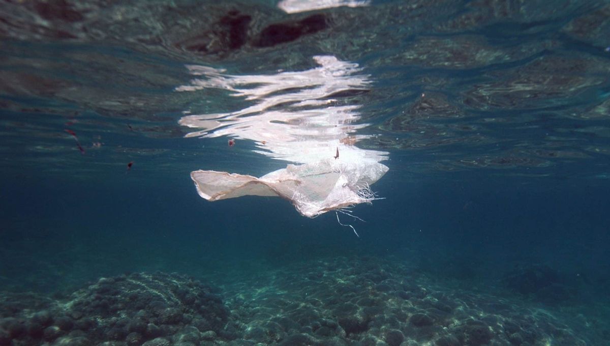A Martigues, il fabrique des filets de pêche pour attraper le plastique en mer
