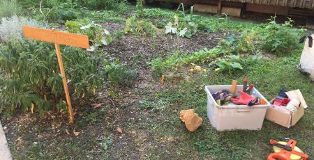Installer des potagers dans les Ephad pour créer du lien