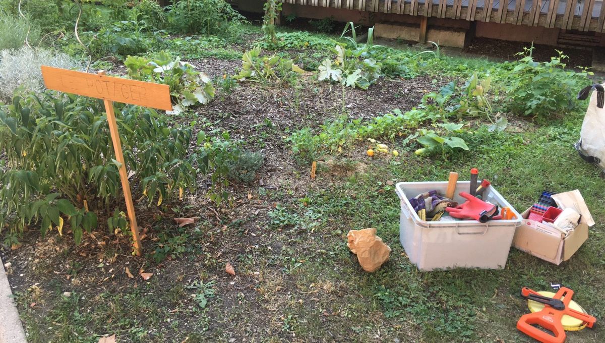 Installer des potagers dans les Ephad pour créer du lien