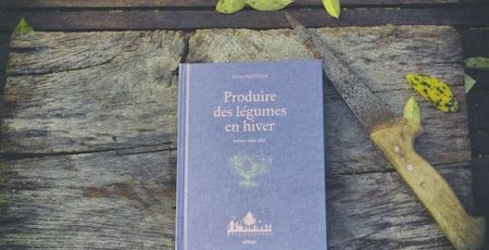 produire des légumes en hiver