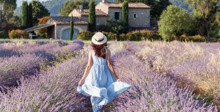 provence.jpeg