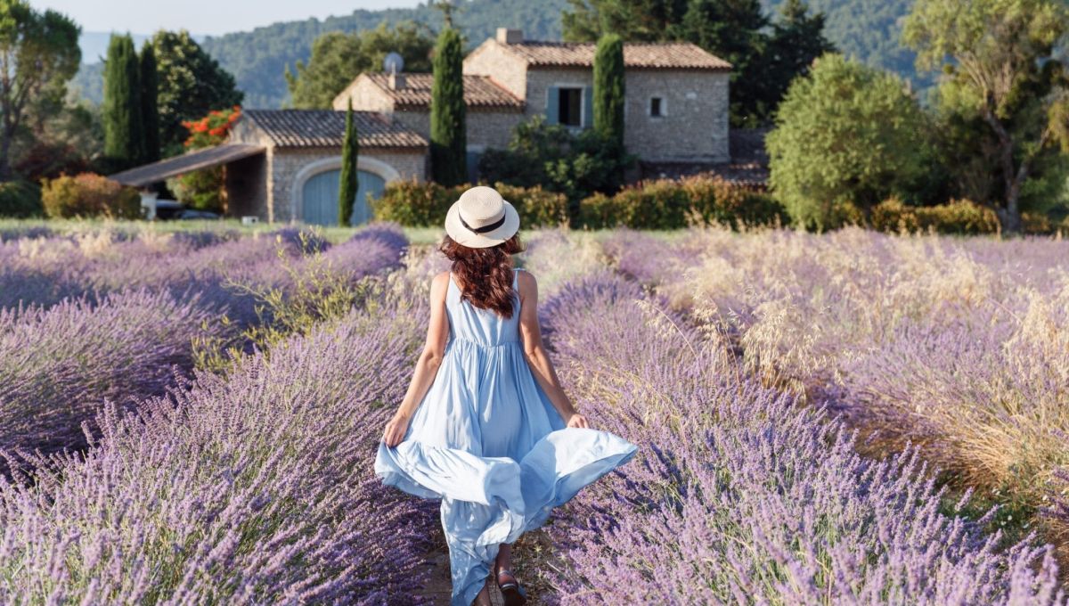 provence.jpeg