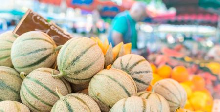 Des melons de Cavaillon sur un étal de marché.