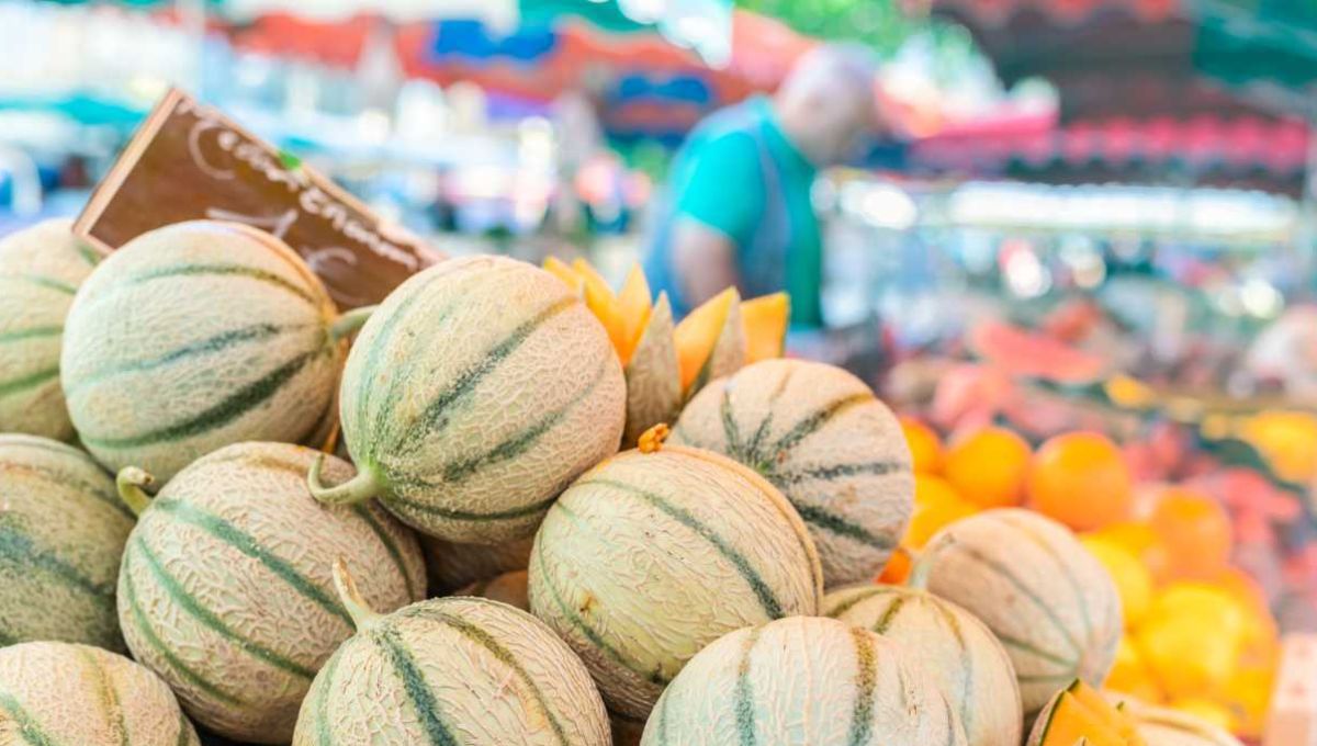 Des melons de Cavaillon sur un étal de marché.