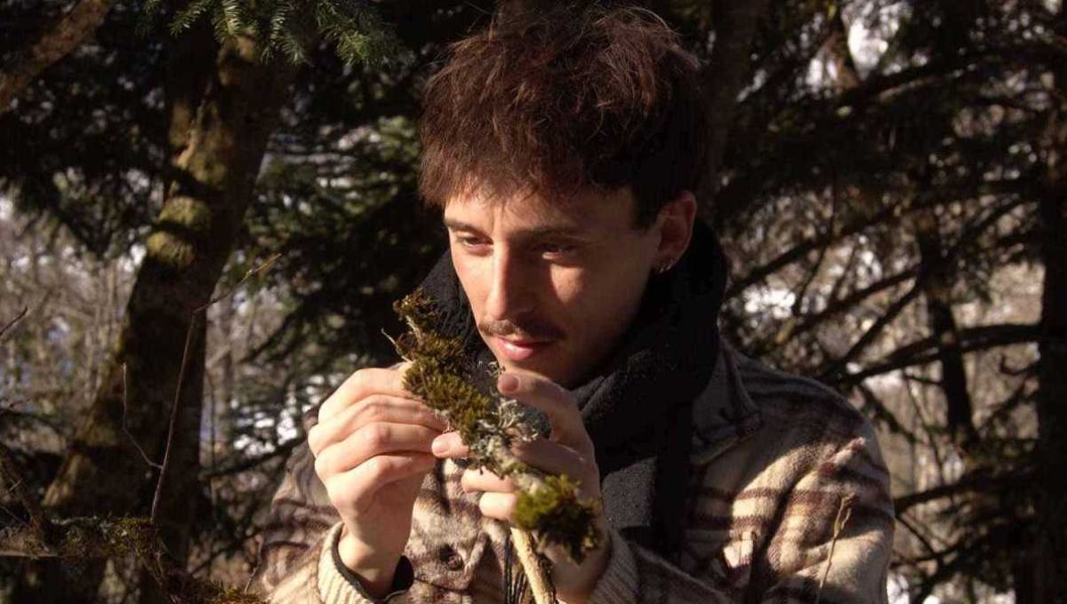 Quentin Travaillé regarde une branche