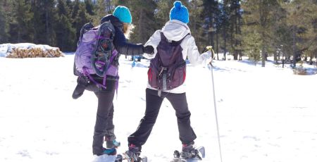Randonnée solidaire avec handicapés en fauteuil roulant et aveugles sur la neige avec des raquettes et des patins en montagne en hiver