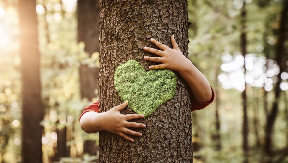 Des enfants aident des agriculteurs à planter des arbres.