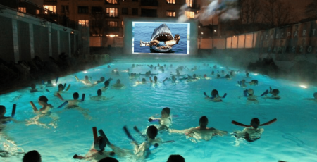 requin_.png