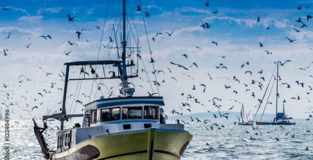 Retour de pêche d'un chalutier.