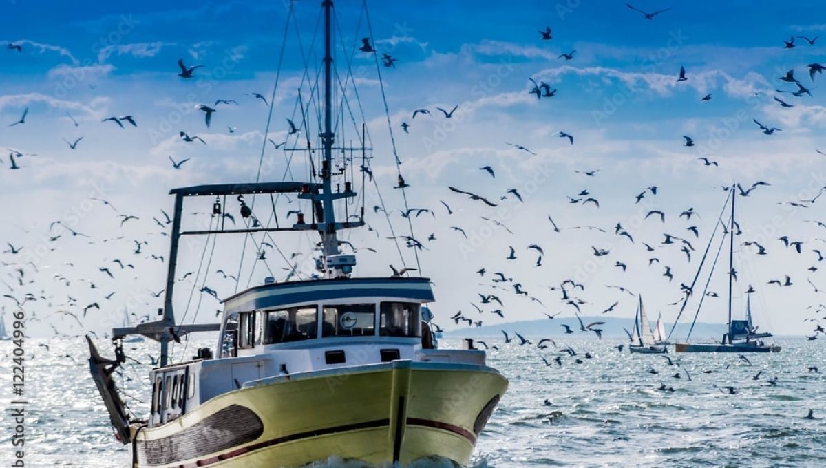Retour de pêche d'un chalutier.