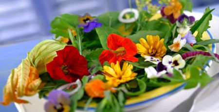 Salade de fleurs- Capucines,pensées,courgettes,soucis