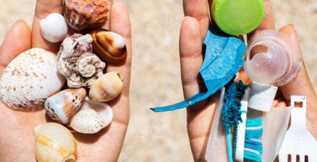 sauvage_mediterranee.jpeg