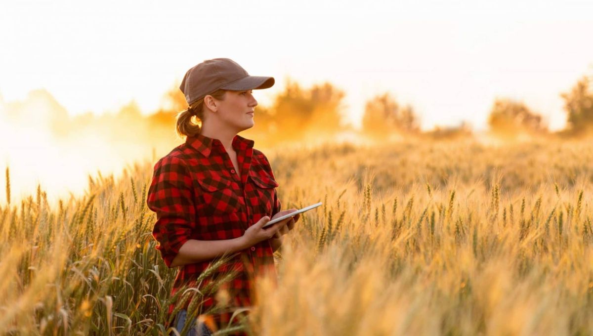 Agriculture de demain