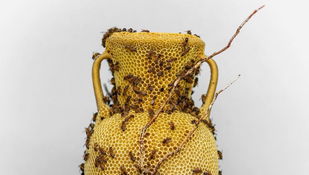 Sculpteur et abeilles travaillent ensemble à la création d’œuvres