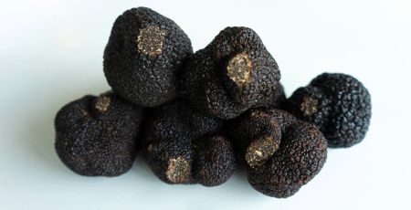 Plusieurs truffes noires