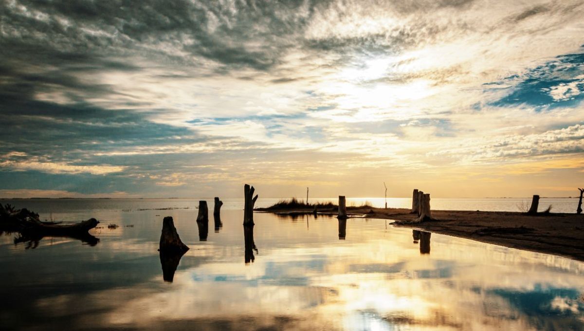 silhouette of people standing on dock during sunset
