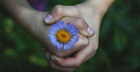 mains et fleur