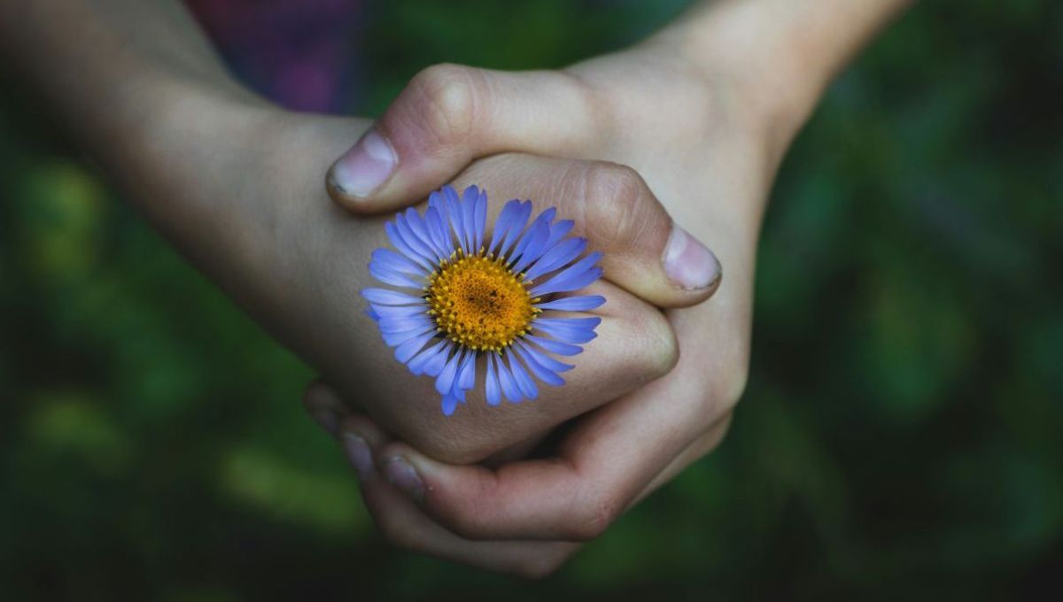 mains et fleur