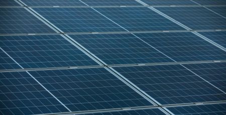 L’agrivoltaïsme, faire pousser des plantes à l’ombre des panneaux solaires