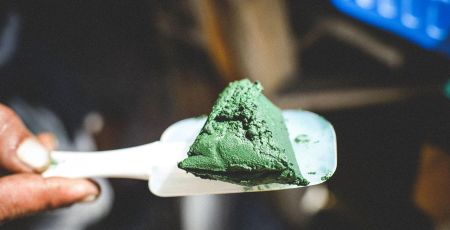 Spiruline du Val de L'Eyre