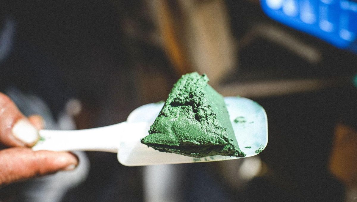 Spiruline du Val de L'Eyre
