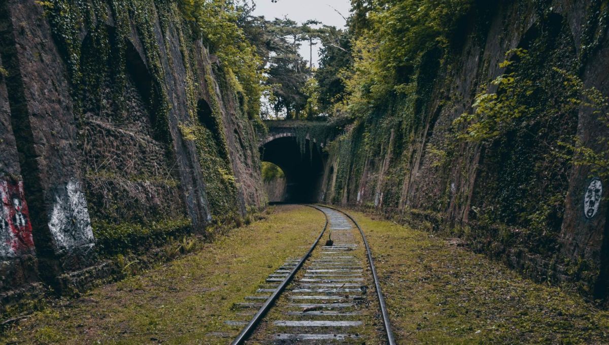 Petite ceinture parc Paris
