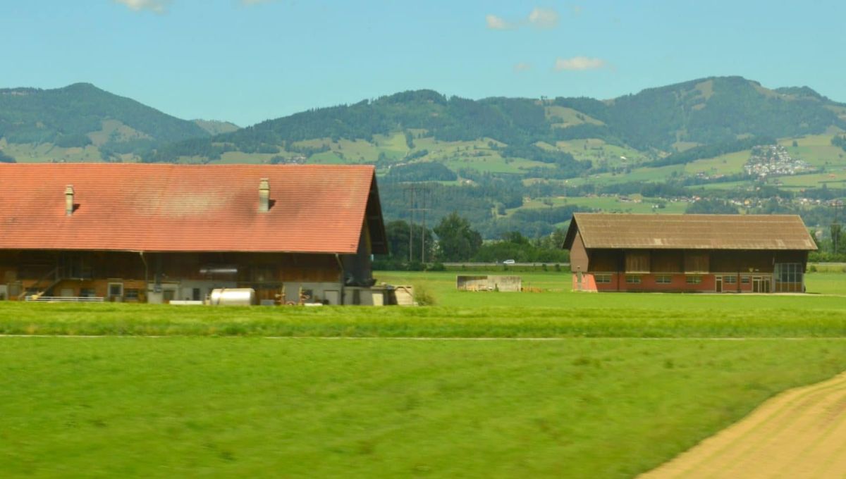 fermes