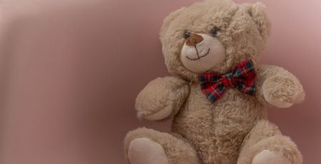 Teddy the Bear