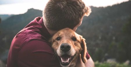 enterrement avec son chien