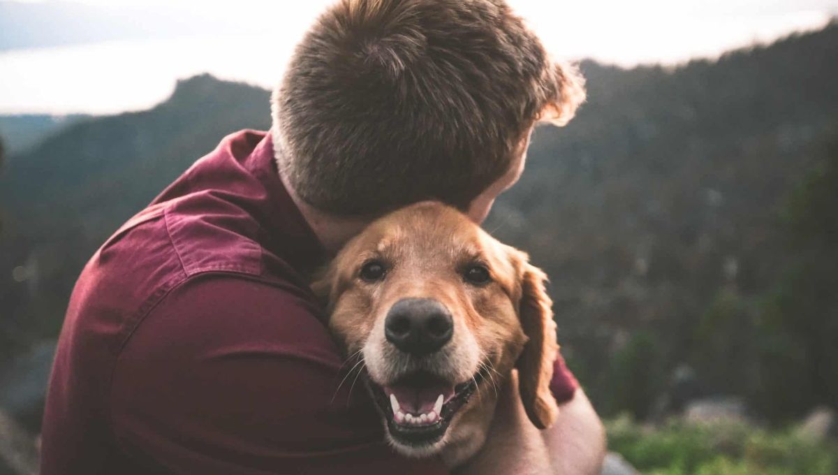 enterrement avec son chien