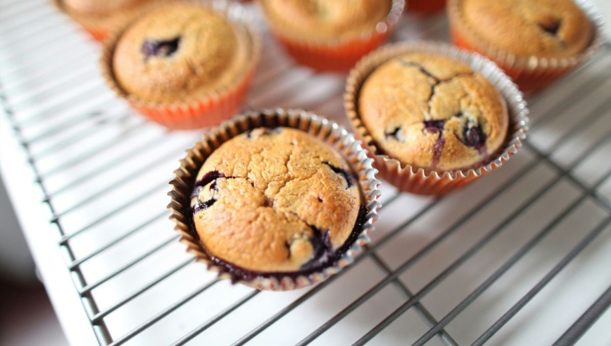 The recipe for these blueberry muffins:http://kaitlynraeann.com/recipes/blueberry-blender-muffins/