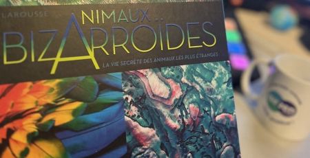 couverture du livre animaux bizaroïdes