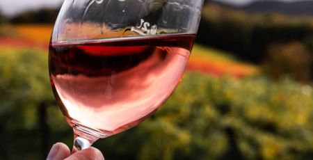 Un verre de vin rosé devant des vignes.