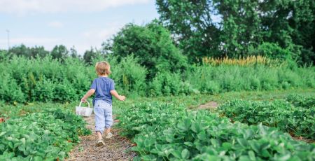 un enfant avec un panier dans un champ