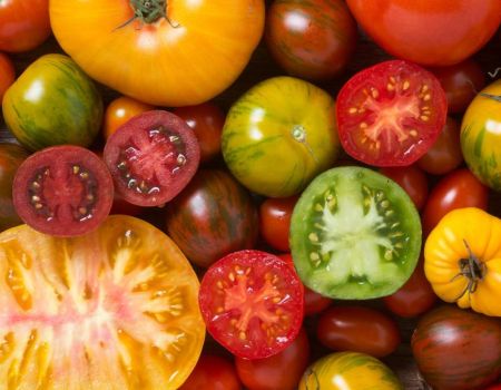 Tomates de couleurs variées - crédit photo