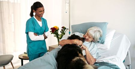 Toulouse : Des animaux de compagnie pour soutenir les patients en réanimation