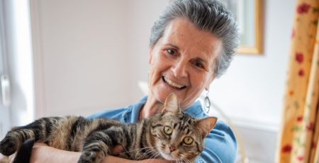 Toutes vos questions sur les chats rassemblées dans un livre
