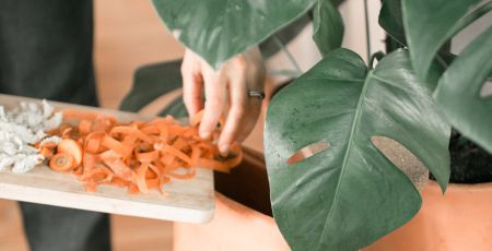 Des pots de fleurs/composteurs , transfarmers