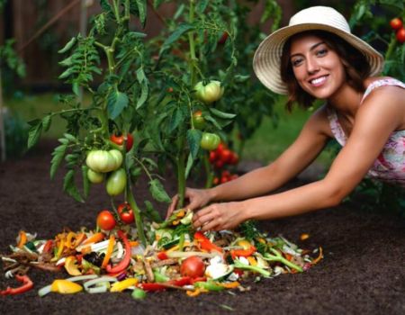 Jardinière qui utilise des épluchures